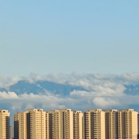 一只辣条于2023-05-24 09:16发布的图片