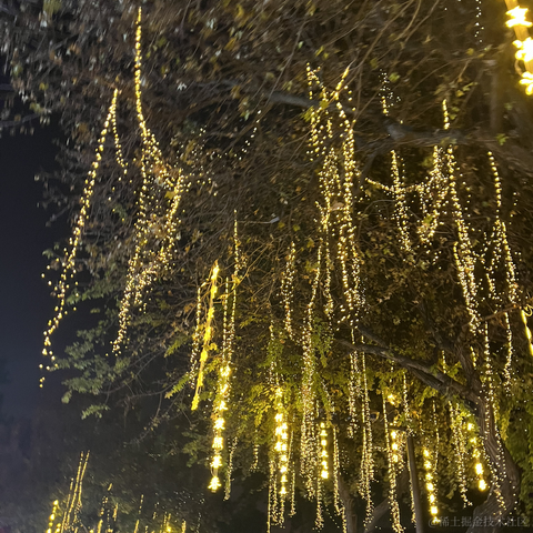 单纯_稀饭于2023-11-02 09:07发布的图片