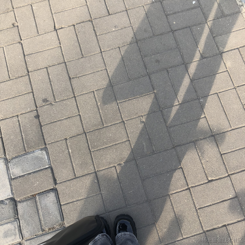 面包泡牛奶于2023-03-16 08:38发布的图片