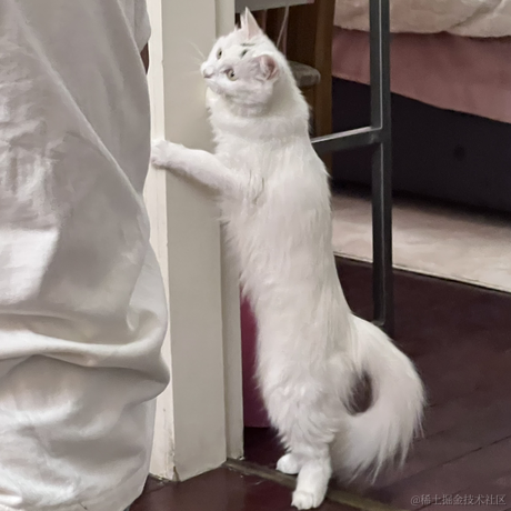 kk有志向于2022-11-21 00:19发布的图片