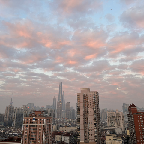 97分之一的概率都抽不到我于2024-01-05 13:55发布的图片