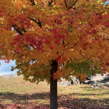 ArrrrrU于2022-11-13 00:36发布的图片