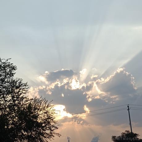 低调的码媛于2022-09-30 10:10发布的图片