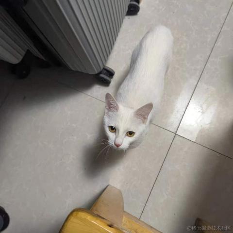 知_足于2024-01-08 14:36发布的图片