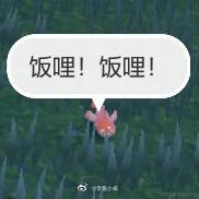 归去来别重名于2022-12-17 19:52发布的图片