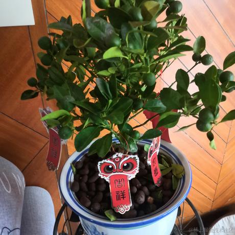 Hypnos966于2023-01-21 01:24发布的图片