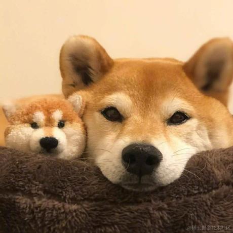 已注销于2021-04-23 09:17发布的图片