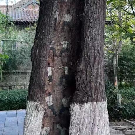 汽水味的小盆友于2022-11-17 16:44发布的图片