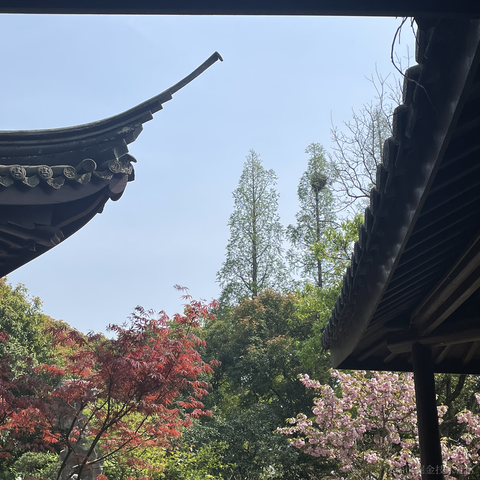 selayet于2023-04-12 20:22发布的图片