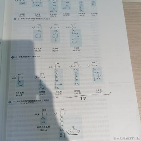 贝拉的前世恋人于2022-11-28 06:30发布的图片