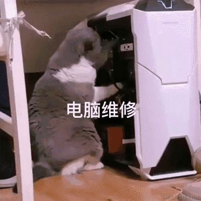 琪官于2021-06-25 09:18发布的图片