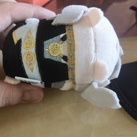 戴安娜小姐的狗于2023-07-06 01:01发布的图片