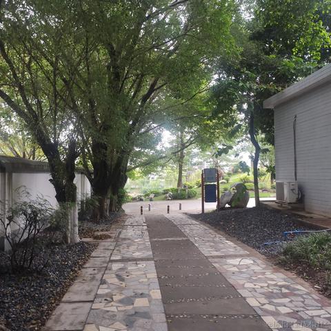 inuyama于2022-11-22 16:09发布的图片