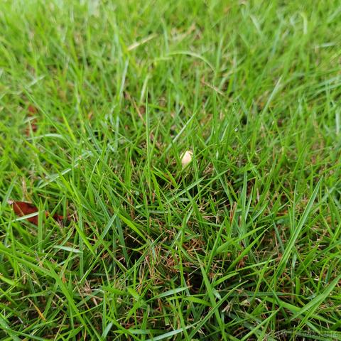 Uwiling于2022-12-02 22:23发布的图片