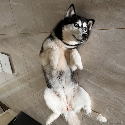 王老狮于2022-09-04 10:31发布的图片