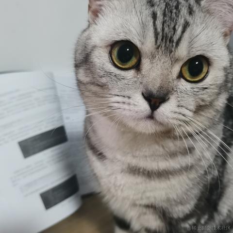 东方小月于2022-06-23 22:32发布的图片