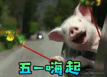 五一🐷.gif