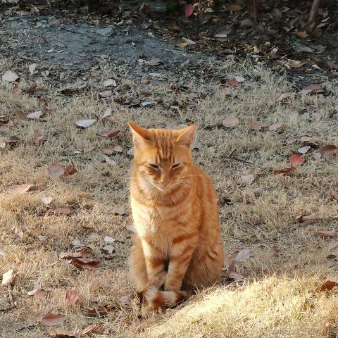 鸳鸯火锅鱼于2022-11-10 10:19发布的图片