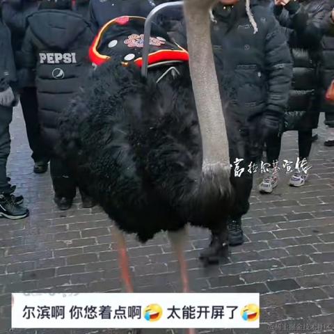 Reloading_转行保险了于2024-01-02 10:27发布的图片