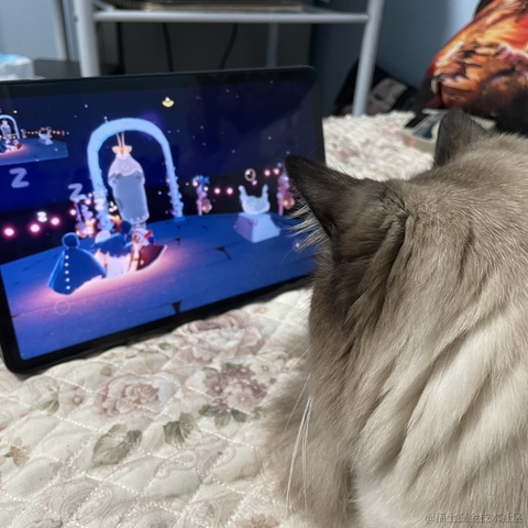 小鲸鱼mm于2022-03-01 16:15发布的图片