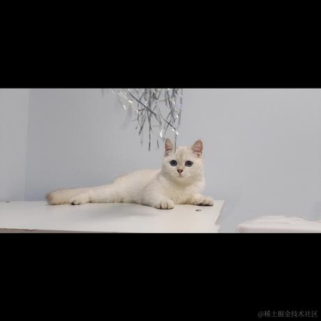 超级侦探_认真办案于2022-10-09 10:34发布的图片