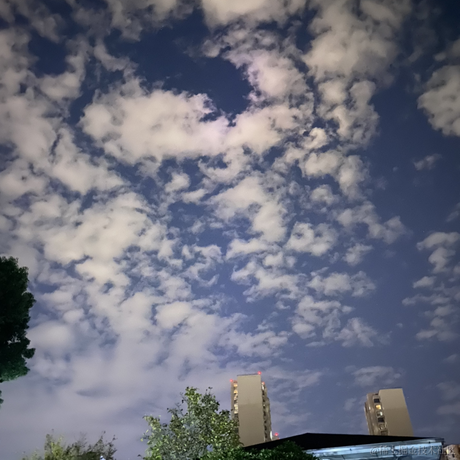 avavaava于2022-11-28 03:37发布的图片