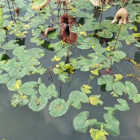 快乐摸鱼一天又一天于2022-11-27 15:32发布的图片