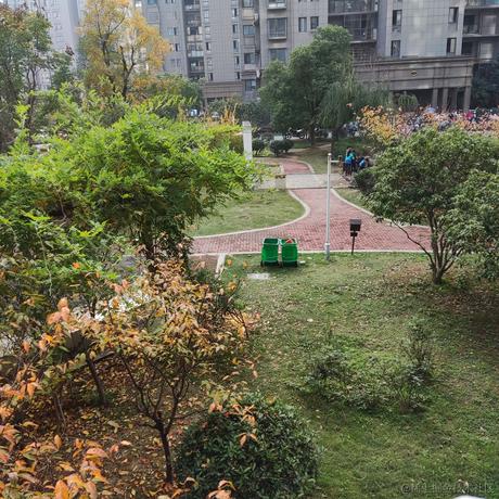 然比今天吃草莓于2022-11-26 11:01发布的图片