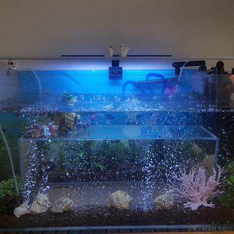 人性本恶于2023-11-27 08:56发布的图片