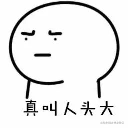 头大.gif