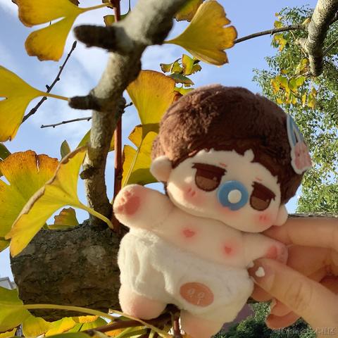 获得小狗青睐的骨头于2022-03-30 15:25发布的图片