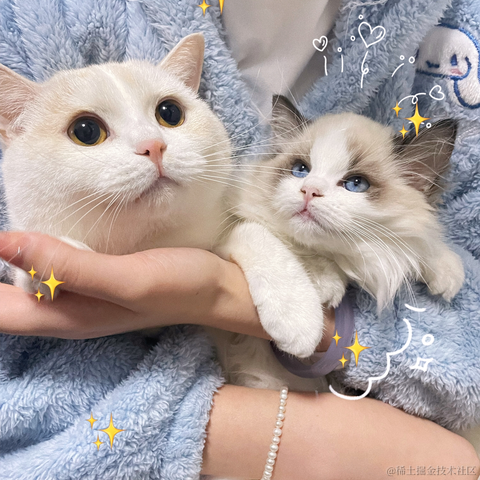 涟漪君丶于2023-01-02 18:01发布的图片