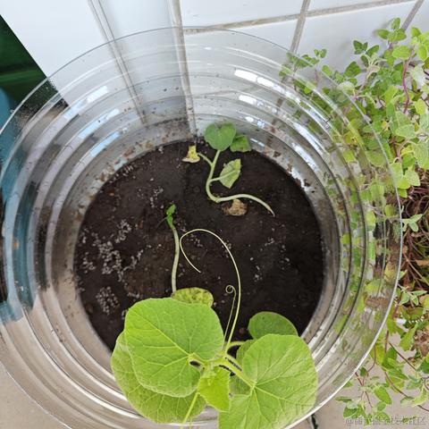 跑来跑去可没有打人爽于2023-09-27 13:27发布的图片