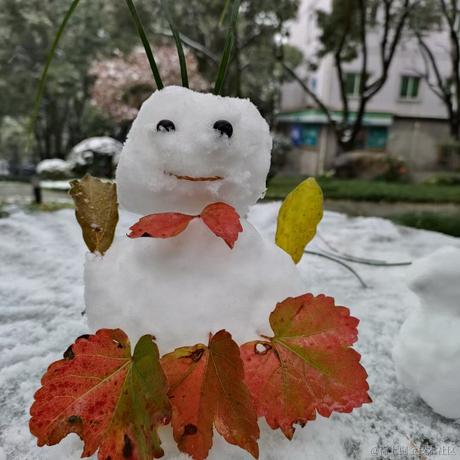 好无语呱呱于2022-12-03 20:55发布的图片