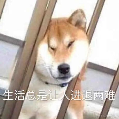 坏孩子的天空于2022-02-15 11:29发布的图片