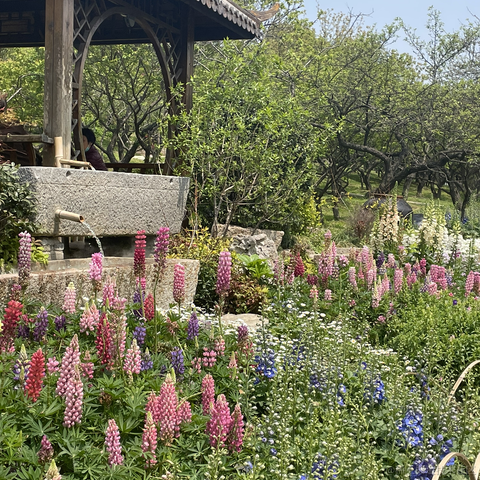 selayet于2023-04-12 20:22发布的图片