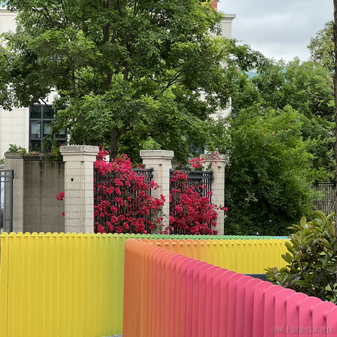 安酱于2023-04-22 09:21发布的图片