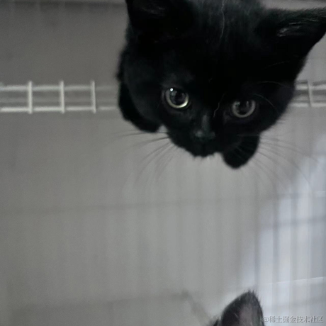 heronCCC于2023-06-02 08:55发布的图片