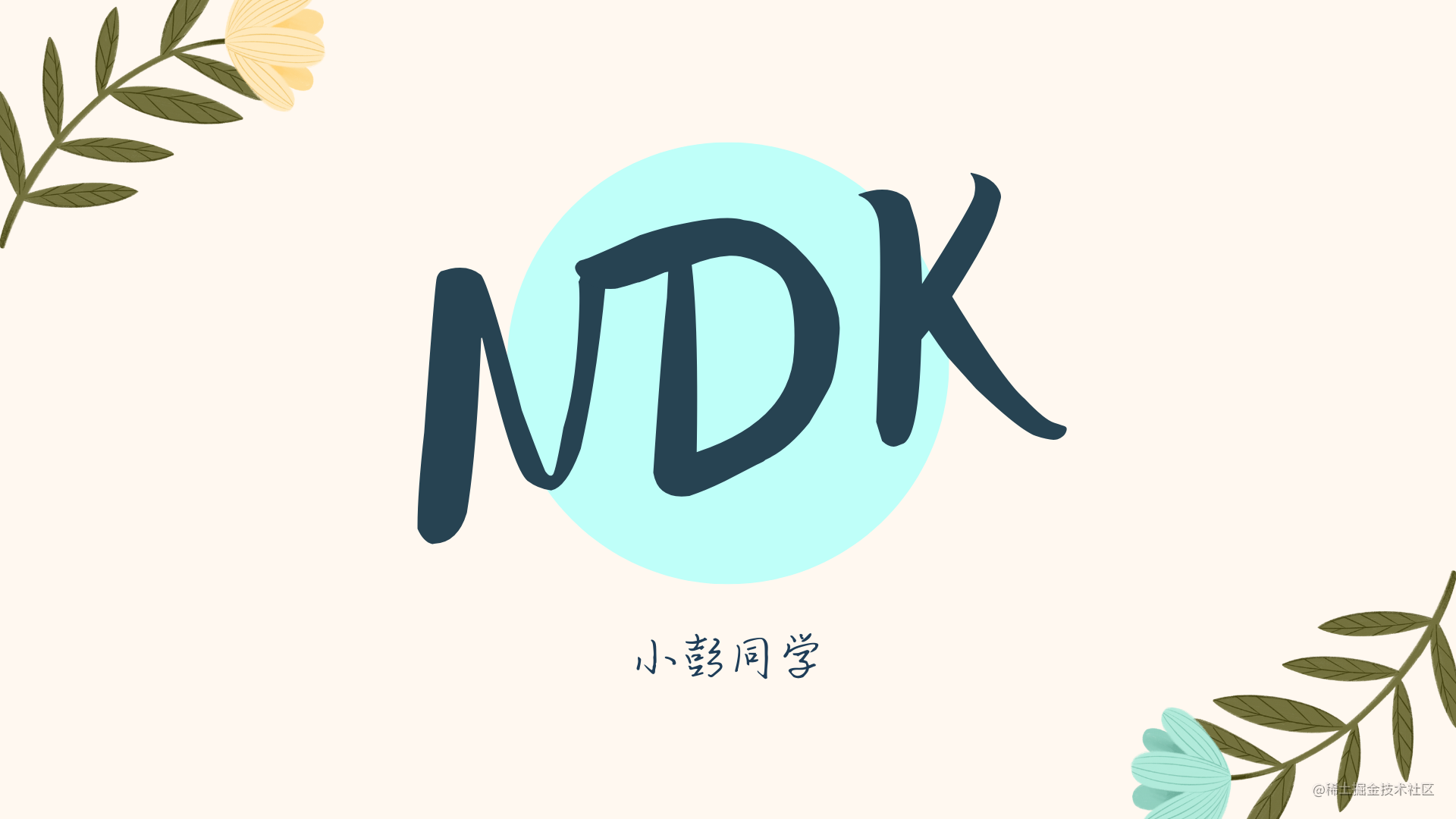 小彭说 · 点亮 NDK 技能树