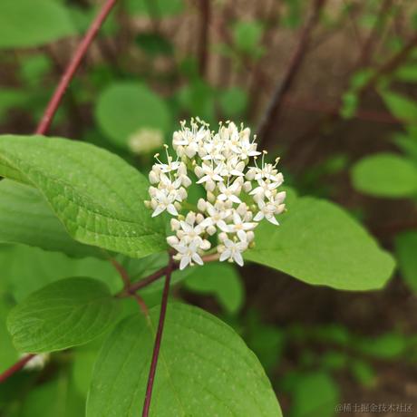 矮人三等于2023-05-16 09:39发布的图片