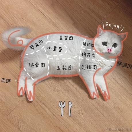 小喵包于2023-08-06 09:30发布的图片