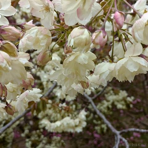 Grong于2023-04-25 22:44发布的图片