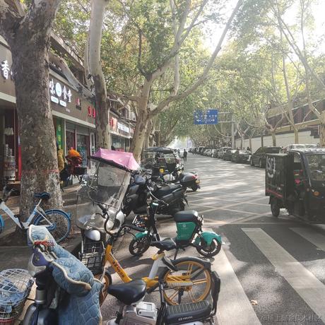 蓝冠青鸟于2022-11-14 16:31发布的图片