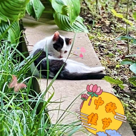 暖阳之时于2021-09-18 15:19发布的图片