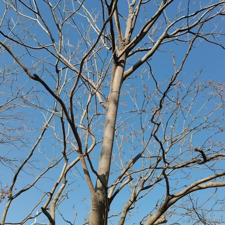 LD2721于2024-01-12 17:26发布的图片