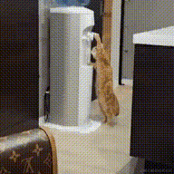 琪官于2021-06-25 09:18发布的图片