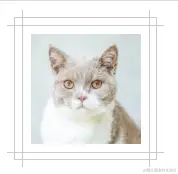 屏幕截图 2023-10-28 160508.png