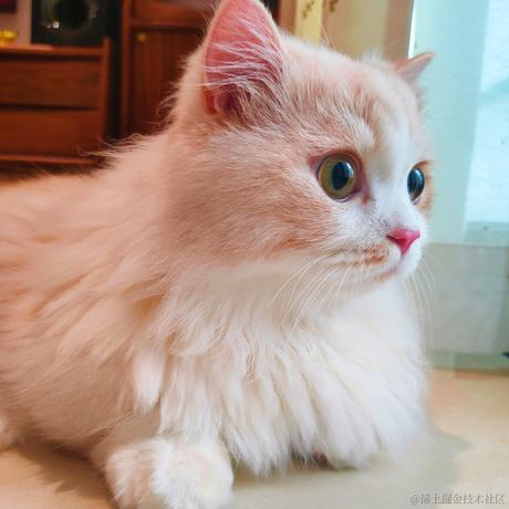 贝拉拉是我的超人于2022-11-22 12:06发布的图片