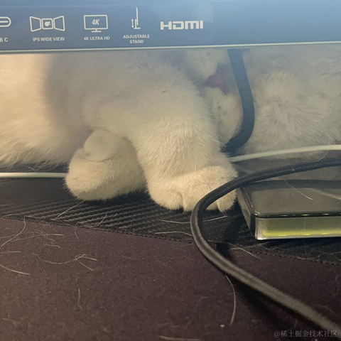 喵怼怼于2023-05-23 10:11发布的图片