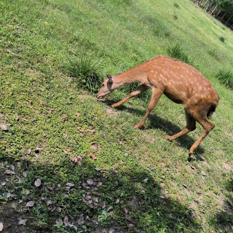 onetwo于2023-05-13 20:28发布的图片